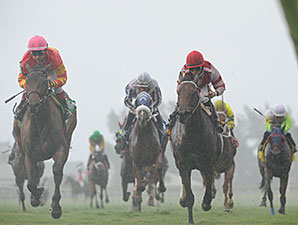 Courtesan wins the 2013 Juvenile Filly Turf Stakes.