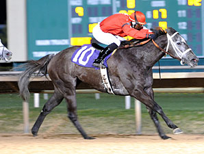 Cowgirl N Up wins the 2013 Yellow Rose Stakes.
