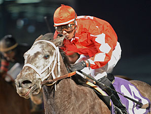 Cowgirl N Up wins the 2013 Yellow Rose Stakes.