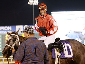 Cowgirl N Up wins the 2013 Yellow Rose Stakes.