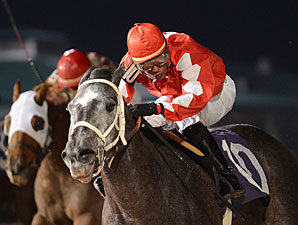 Cowgirl N Up wins the 2013 Yellow Rose Stakes.