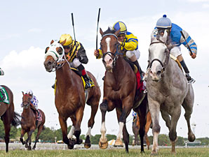 Cozzetti  wins the 2012 American Derby.