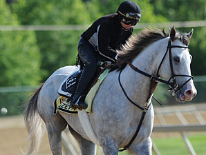 Cozzetti - Pimlico, May 17, 2012.