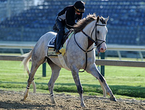 Cozzetti - Pimlico, May 18, 2012.