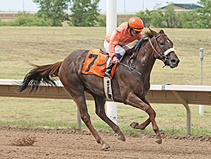 Crazy Cora wins the 2014 CTBA Lassie Stakes.