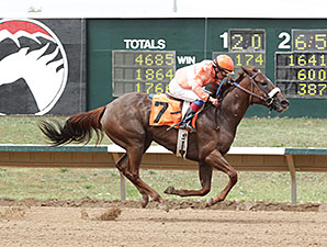 Crazy Cora wins the 2014 CTBA Lassie Stakes.