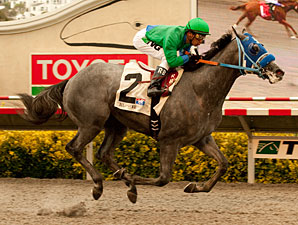 Creative Cause wins the Best Pal Stakes.