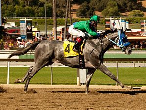 Creative Cause wins the 2011 Norfolk.