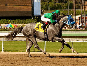 Creative Cause wins the 2011 Norfolk.