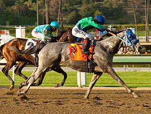 Creative Cause wins the 2012 San Felipe.