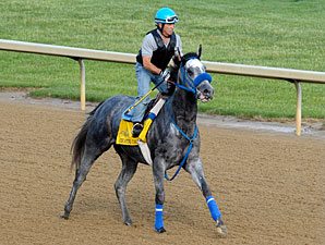 Creative Cause jogs towards the Kentucky Derby 4/20/21012