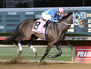 Cresco Direct Hit wins the 2012 John Wayne.