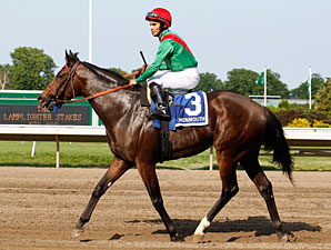 Crimson China wins the 2011 Lamplighter.