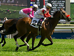 Cristina's Halo wins the Alywow Stakes.
