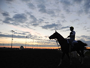 Crowded House at Woodbine, September 18, 2010.