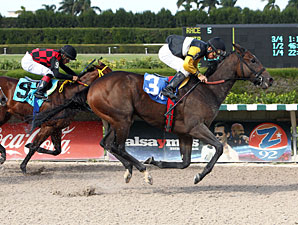 Crumb wins the 2012 Joe O'Farrell Juvenile Fillies.