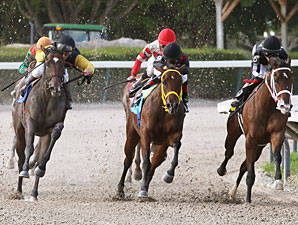 Crumb wins the 2012 Joe O'Farrell Juvenile Fillies.