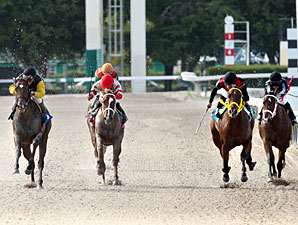 Crumb wins the 2012 Joe O'Farrell Juvenile Fillies.
