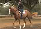 Curlin's Two-Year-Olds in Action