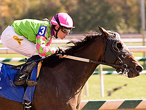 D C Dancer wins the 2014 Maryland Million Sprint.