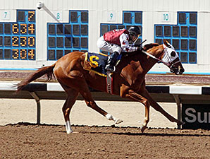 D E Lover wins the 2014 Dine Stakes.