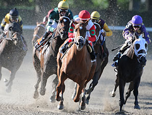 D' Funnybone wins the 2009 Futurity.