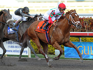 D' Funnybone wins the 2010 Hutcheson.