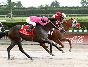 D'nied Permission wins the 2012 Florida Stallion Series Affirmed Division.