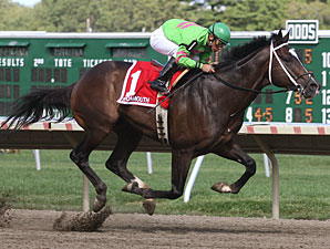 Dabnabit wins the New Jersey Breeders' Handicap.