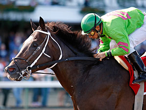 Dabnabit wins the New Jersey Breeders' Handicap.