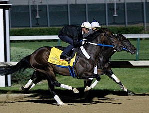 Daddy Nose Best at Churchill Downs 4/23/2012