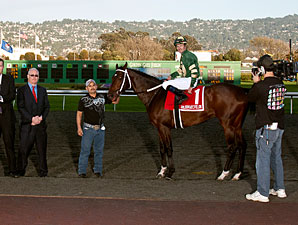 Daddy Nose Best wins the 2012 El Camino Real Derby.
