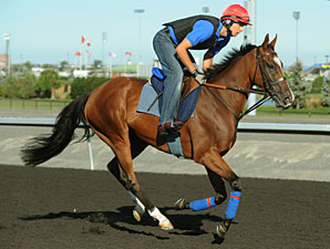 Dance And Dance at Woodbine, 09/14/11