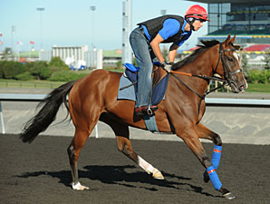 Dance And Dance at Woodbine, 09/14/11