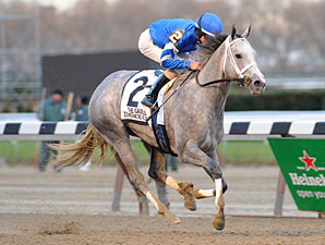 Dance Card wins the 2012 Gazelle.