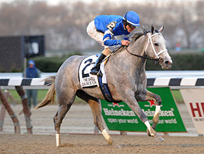 Dance Card wins the 2012 Gazelle.