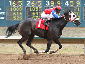 Dance to the Star wins the Mount Elbert.