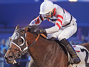 Dancin' Lil wins the 2014 Saylorville Stakes.