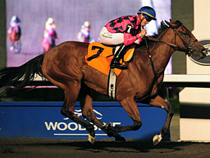 Dancing Raven wins the 2011 Ballade Stakes.