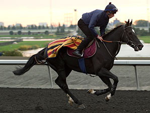 Dandino - Woodbine, October 9, 2012.