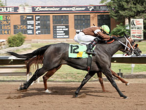 Dandy Deona R F wins the 2012 Dessie and Fern Sawyer Futurity.