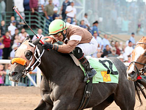 Dandy Deona R F wins the 2012 Dessie and Fern Sawyer Futurity.