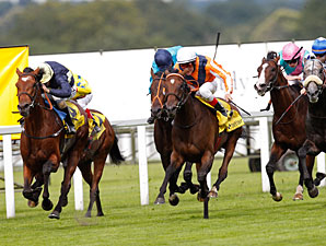Danedream wins the 2012 King George.