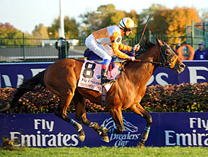 Dangerous Midge in the 2010 Breeders' Cup Turf Mile.