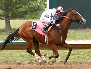 Danzip wins the 2010 Aspen.