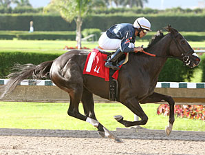 Dash Dot Dash wins the 2010 Take D'Tour Stakes.