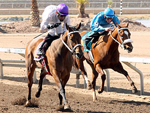 Dashkova wins the New Mexico Breeders Oaks.