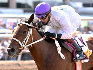 Dashkova in the New Mexico Breeders Oaks.