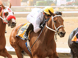 Dashkova wins the 2012 Aztec Oaks.