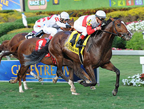 Data Link wins the 2013 Canadian Turf.